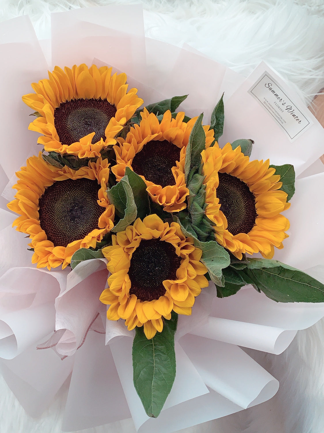 Fresh 5 Sunflowers