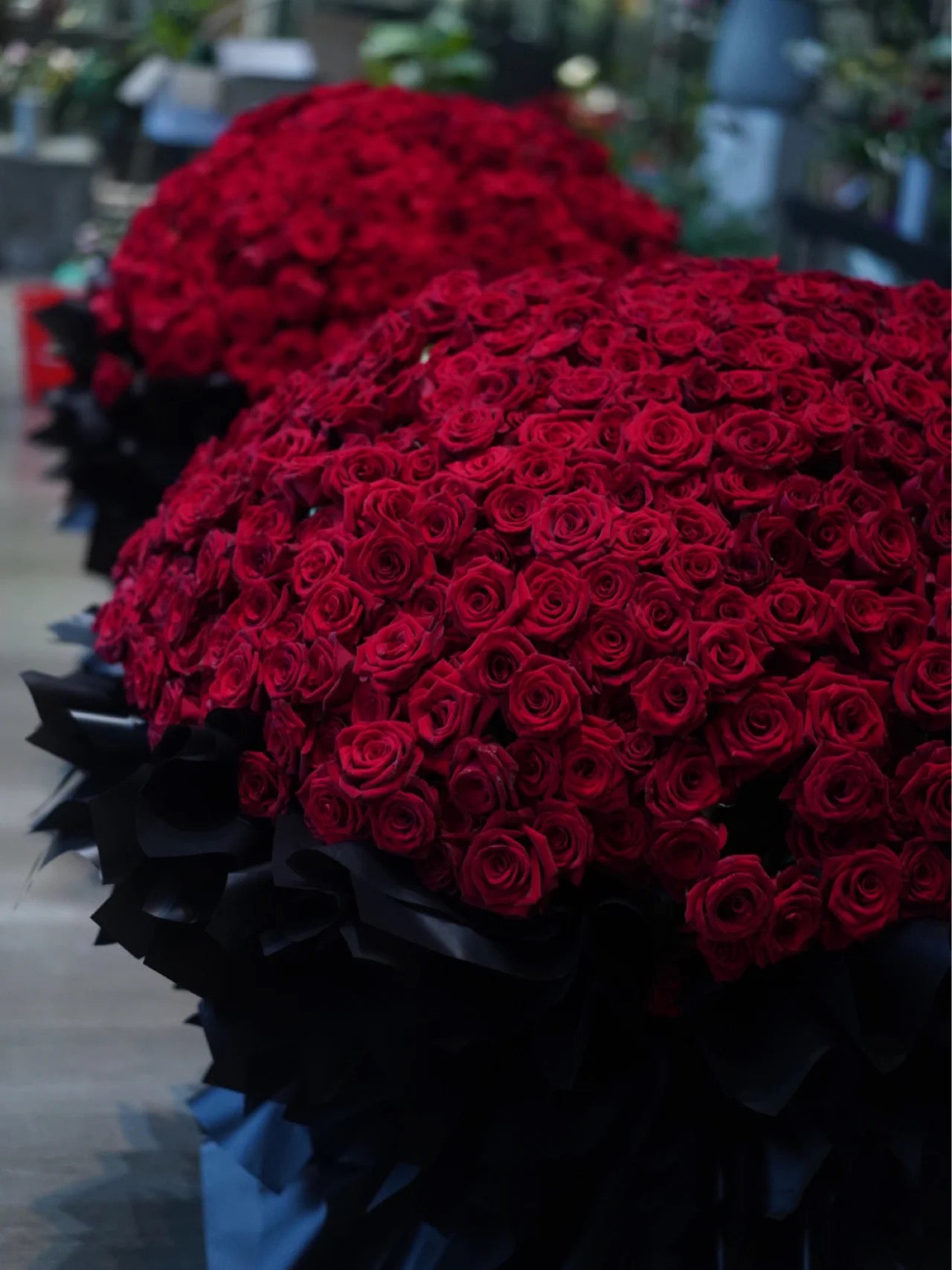 Red Roses