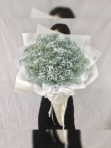 Baby Breath's