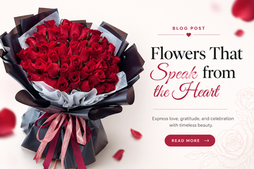 What Does 520 Mean? Flower Gifting Guide Singapore