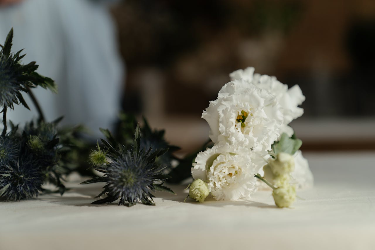 Flower Meaning: Flowers That Symbolize Life and Their Significance