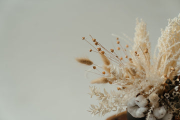 Why You Should Consider Preserved Flowers