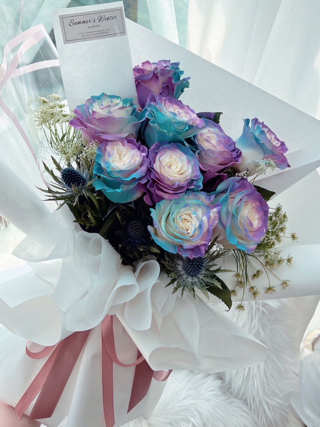 Aurora Roses