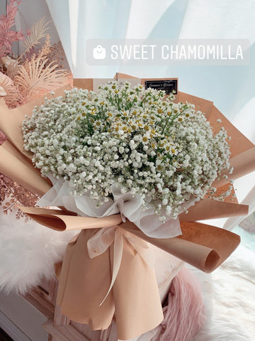 Sweet Chamomilla